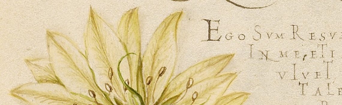 Hidden History Research